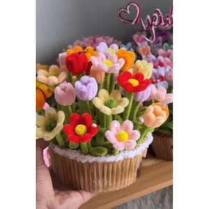Chậu Tulip Mix Cúc Kẽm Nhung
