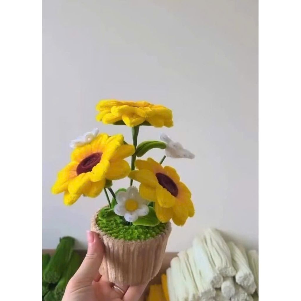 Chậu Hoa Hướng Dương Kẽm Nhung Xinh Xắn