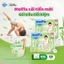 Tã/bỉm Quần Molfix thiên nhiên bông Organic M40+6 / L36+6 / XL34+6 / XXL30+6 / XXX24+6