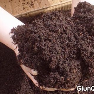 Combo Chậu + Đất trồng cây + phân trùn quế + viên nén xơ dừa - trồng rau củ quả hạt giống