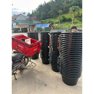 Chậu tròn Lào số 10 siêu bền độ bền 10 năm