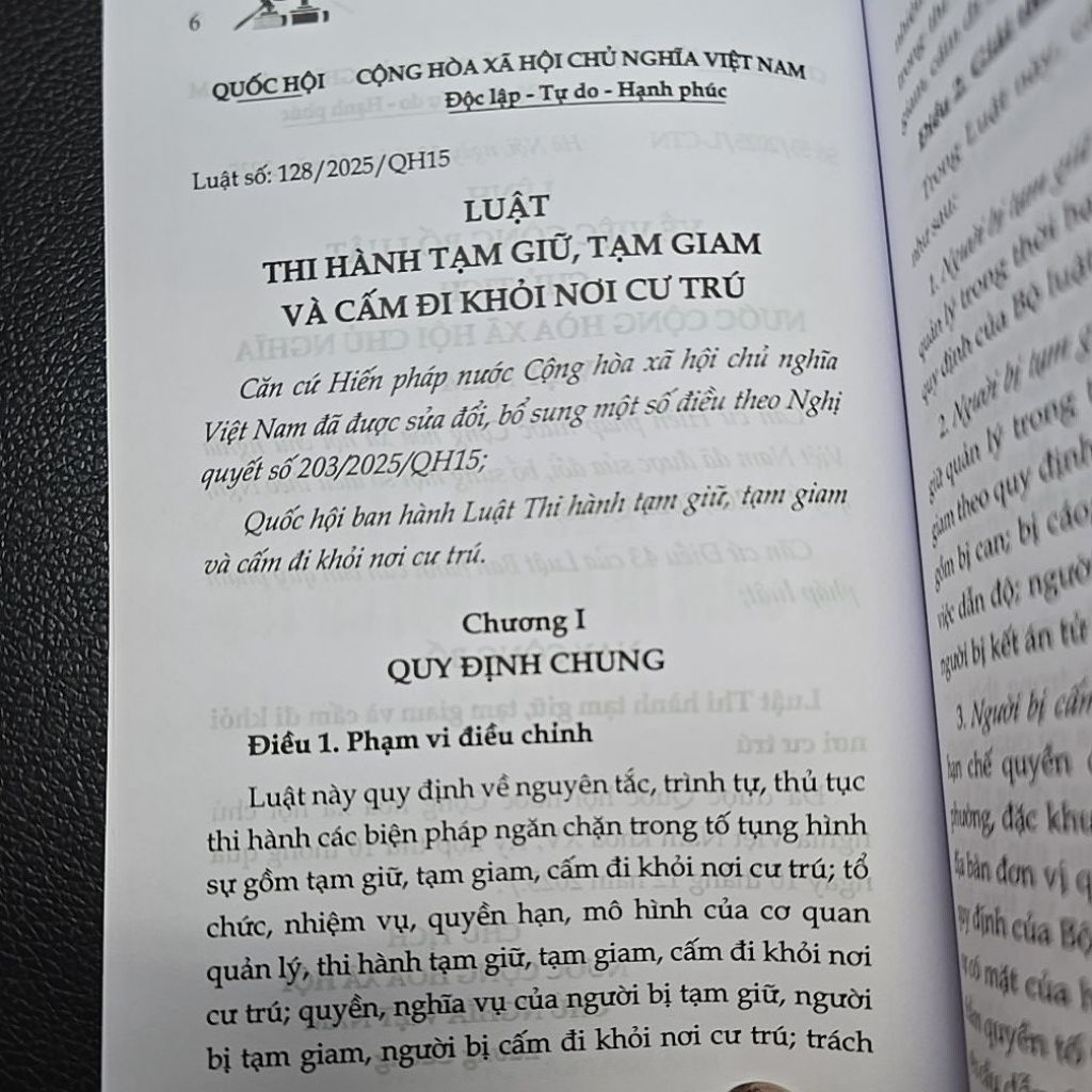 Sách - Luật thi hành tạm giữ tạm giam và cấm đi khỏi nơi cư trú (NXB Lao động)
