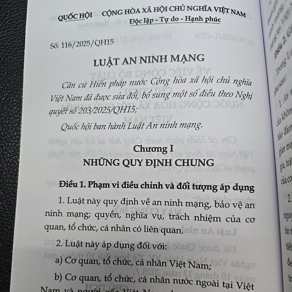 Sách - Luật an ninh mạng năm 2025 (NXB Lao động)