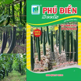 Hạt giống bị sặt PDS 999 kháng bệnh tốt, năng xuất cao - 1 gam