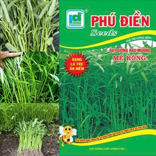 Hạt giống Rau Muống Me Kông, kháng sâu bệnh sinh trưởng khoẻ - 20 gam