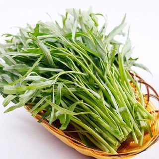Hạt giống Rau Muống Me Kông, kháng sâu bệnh sinh trưởng khoẻ - 20 gam