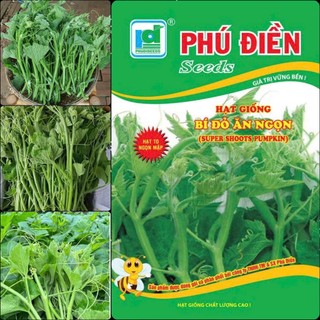 Hạt giống Bí Siêu Ngọn Hạt Nhỏ, kháng sâu bệnh, sinh trưởng tốt, năng xuất cao - 20 gam