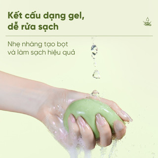 [Y378] Nước Giặt Rửa Cọ Mút Trang Điểm AMORTALS - Làm Sạch Nhanh, Dịu Nhẹ, Khử Khuẩn Hiệu Quả Cho Dụng Cụ Makeup