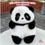 Gấu Bông Gấu Trúc Hồng 40cm Cao Cấp Chính Hãng – Ngộ Nghĩnh, Mềm Mịn, Quà Tặng Dễ Thương