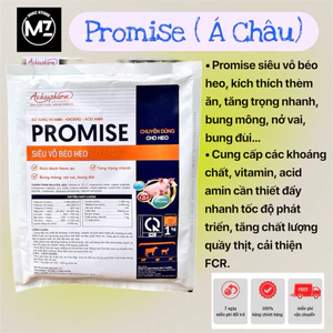 Promise Siêu Vỗ Béo Heo (Á Châu) Bổ Sung Vitamin - Khoáng - Acid Amin Cho Heo Mau Lớn (1Kg)