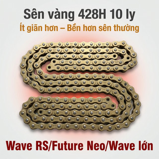 Nhông Sên Dĩa Giá Rẻ: Dĩa Đen + Sên Vàng 428H 10 Ly (14T-36T-106L) – Wave RS / Future Neo / Wave Lớn