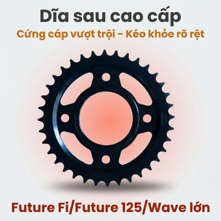 Nhông Sên Dĩa: Dĩa Đen + Sên Vàng 428H 10 Ly (14T-36T-108L) – Future Fi / Future 125 / Wave Lớn