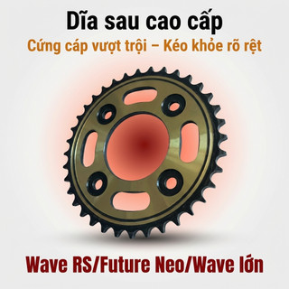 Nhông Sên Dĩa: Dĩa Vàng Đồng + Sên Vàng 428H 10 Ly (14T-36T-106L) – Wave RS / Future Neo / Wave Lớn