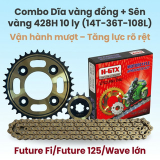 Nhông Sên Dĩa Dĩa Vàng Đồng + Sên Vàng 428H 10 Ly (14T-36T-108L) – Future Fi / Future 125 / Wave Lớn