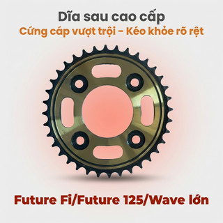 Nhông Sên Dĩa Dĩa Vàng Đồng + Sên Vàng 428H 10 Ly (14T-36T-108L) – Future Fi / Future 125 / Wave Lớn