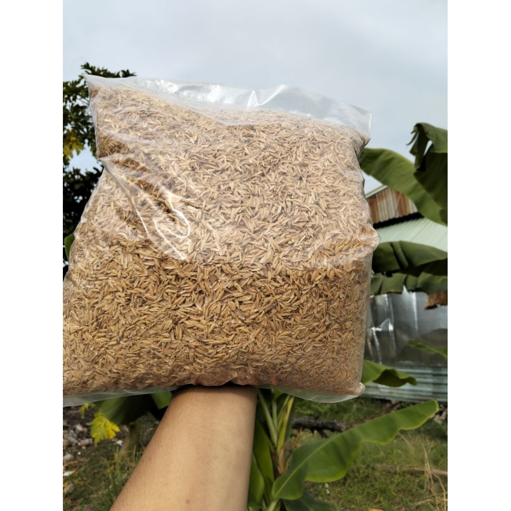 Trấu Sống -Gói 5dm3 - Trộn Đất Trồng Cây Trong Chậu