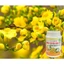 Phân Bón MKP 0-52-34+TE - K.ích Th.ích ra hoa đồng loạt, Chống Rụng bông, rụng trái- Hủ 100gr