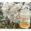 Phân Bón MKP 0-52-34+TE - K.ích Th.ích ra hoa đồng loạt, Chống Rụng bông, rụng trái- Hủ 100gr
