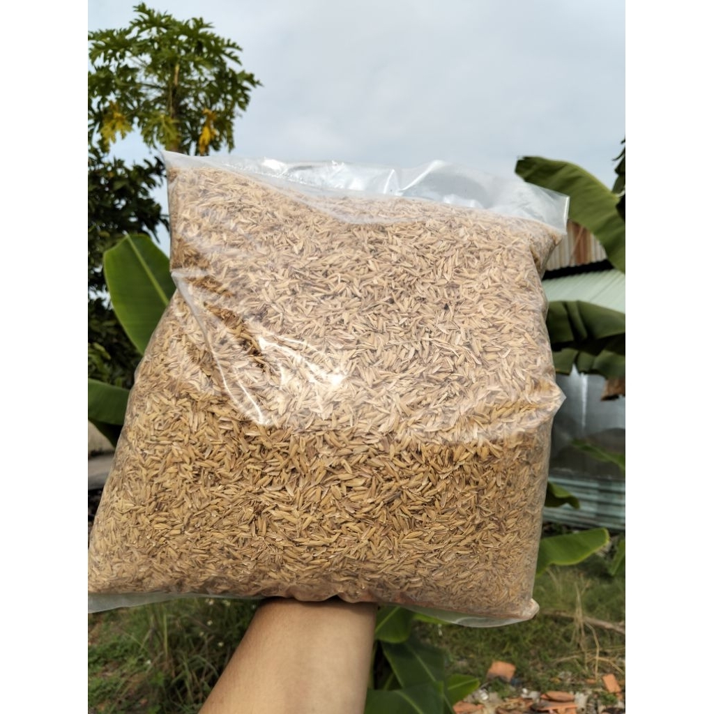Trấu Sống -Gói 5dm3 - Trộn Đất Trồng Cây Trong Chậu