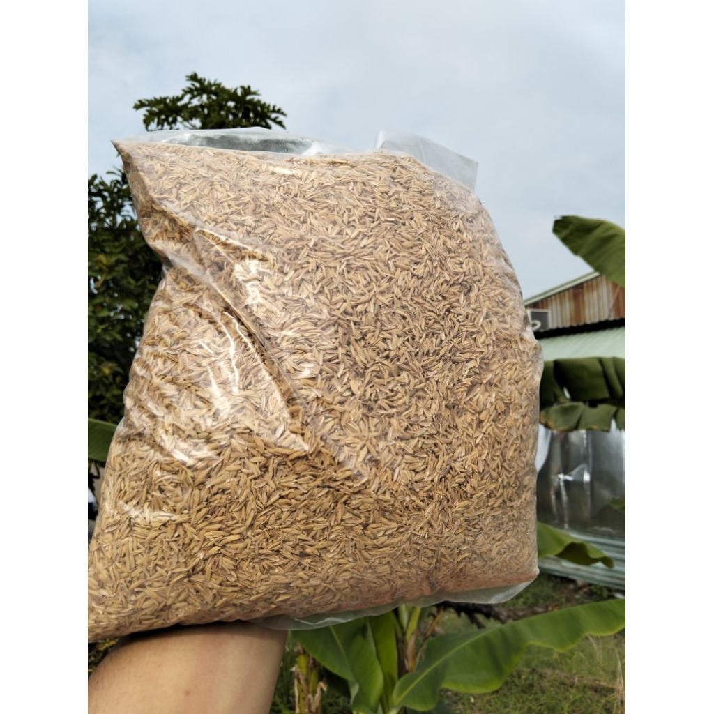 Trấu Sống -Gói 5dm3 - Trộn Đất Trồng Cây Trong Chậu