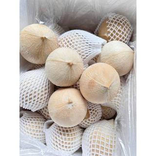 SỈ Thùng 20, 30 Trái Dừa Xiêm Gọt Trọc Trắng KACOCO - Ngọt, Mỏng vỏ, nước nhiều, giảm nhiệt, tươi mát, uống liền