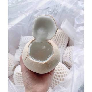 SỈ Thùng 20, 30 Trái Dừa Xiêm Gọt Trọc Trắng KACOCO - Ngọt, Mỏng vỏ, nước nhiều, giảm nhiệt, tươi mát, uống liền