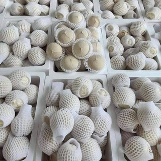 SỈ Thùng 20, 30 Trái Dừa Xiêm Gọt Trọc Trắng KACOCO - Ngọt, Mỏng vỏ, nước nhiều, giảm nhiệt, tươi mát, uống liền