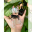 Kẹp Tóc Càng Cua 3 Răng Nhựa Nhám Đen Cứng Dễ Kẹp Chắc Tóc Thiết Kế Hot Trend Đa Dạng Mẫu Quynhnguyen