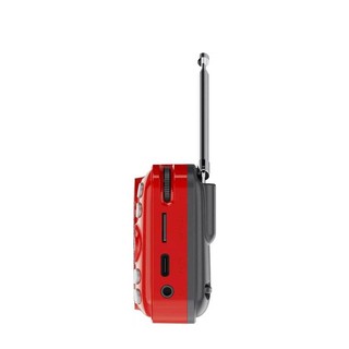 Loa FM có bluetooth kiêm máy thu âm BANNIXING D-66 khe thẻ nhớ/ USB / Tai nghe - dùng pin sạc 18650