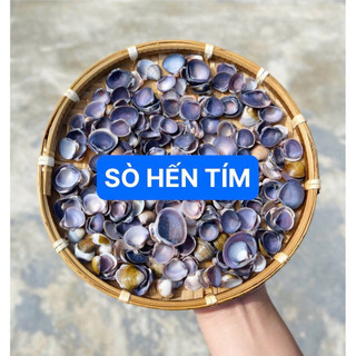 Vỏ Hến Tím Tự Nhiên dùng làm hoa, phụ kiện Handmade, trang trí