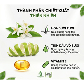 [MUA 1 TẶNG 1] Dầu gội bưởi Ngân Bình 200ml - Dưỡng tóc hoa bưởi giảm rụng