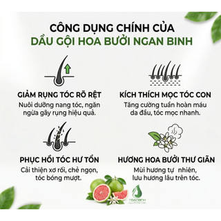 [MUA 1 TẶNG 1] Dầu gội bưởi Ngân Bình 200ml - Dưỡng tóc hoa bưởi giảm rụng