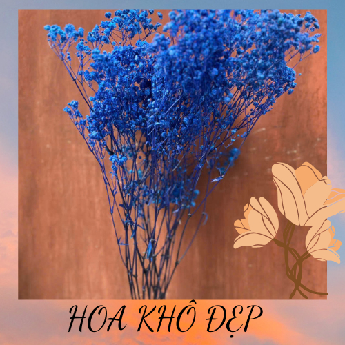 Hoa baby khô đẹp bền, không phai màu decor cắm lọ để bàn trang trí ,bó 100g