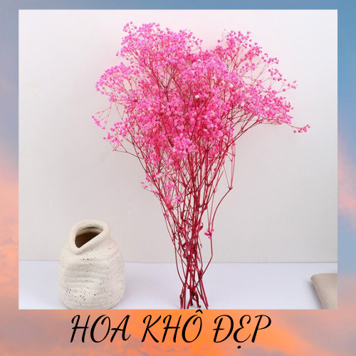 Hoa baby khô đẹp bền, không phai màu decor cắm lọ để bàn trang trí ,bó 100g