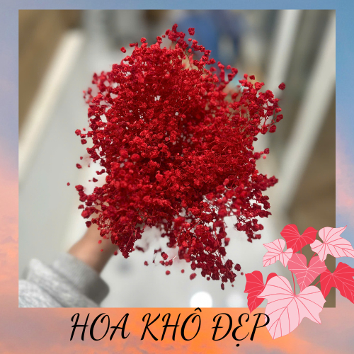 Hoa baby khô đẹp bền, không phai màu decor cắm lọ để bàn trang trí ,bó 100g