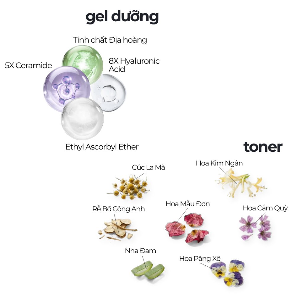 Bộ Đôi Cấp Ẩm Kiềm Dầu, Toner 120ml & Gel dưỡng 50ml, Dưỡng Ẩm Chuyên Sâu, Kiềm Dầu, Phục Hồi Da-CB6