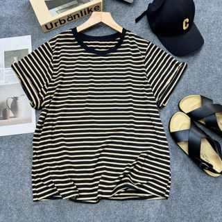 Lẻ Áo thun bigsize sọc ngang form rộng thoải mái, chất cotton mềm mịn co giãn, phong cách basic dễ phối  A352 + A843
