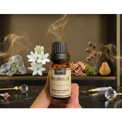 HƯƠNG HYPNOTIZING COLLABORATION - hương nước hoa - tông gỗ nhẹ