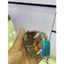 Đồng hồ Nam EYKI EQWS5216L chống nước - Mặt màu đen