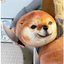 Chó Shiba Inu trừu tượng gói biểu hiện búp bê săn thú nhồi bông ngộ nghĩnh món quà sinh nhật dành c