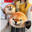 Chó Shiba Inu trừu tượng gói biểu hiện búp bê săn thú nhồi bông ngộ nghĩnh món quà sinh nhật dành c