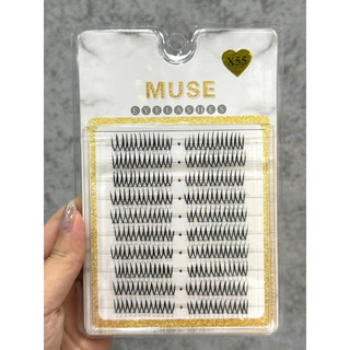 Mi MUSE X55 – Dáng Mi Tơi Nhẹ, Makeup Tự Nhiên Chuẩn Hàn