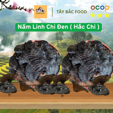 Nấm Hắc Chi Rừng , Hay Còn Gọi Linh Chi Đen