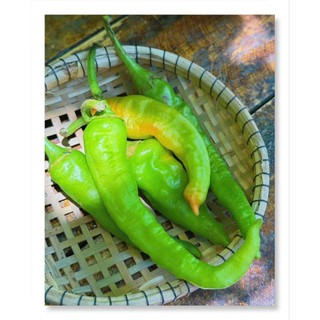 1kg Ớt xanh kho cá Huế, cay ít, thơm - Đặc Sản Huế