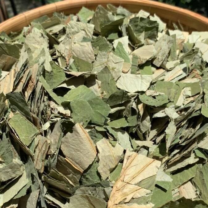 THANH VỊ MỘC TRÀ- Trà thảo mộc thanh nhiệt, hỗ trợ tiêu hóa, giảm đầy bụng