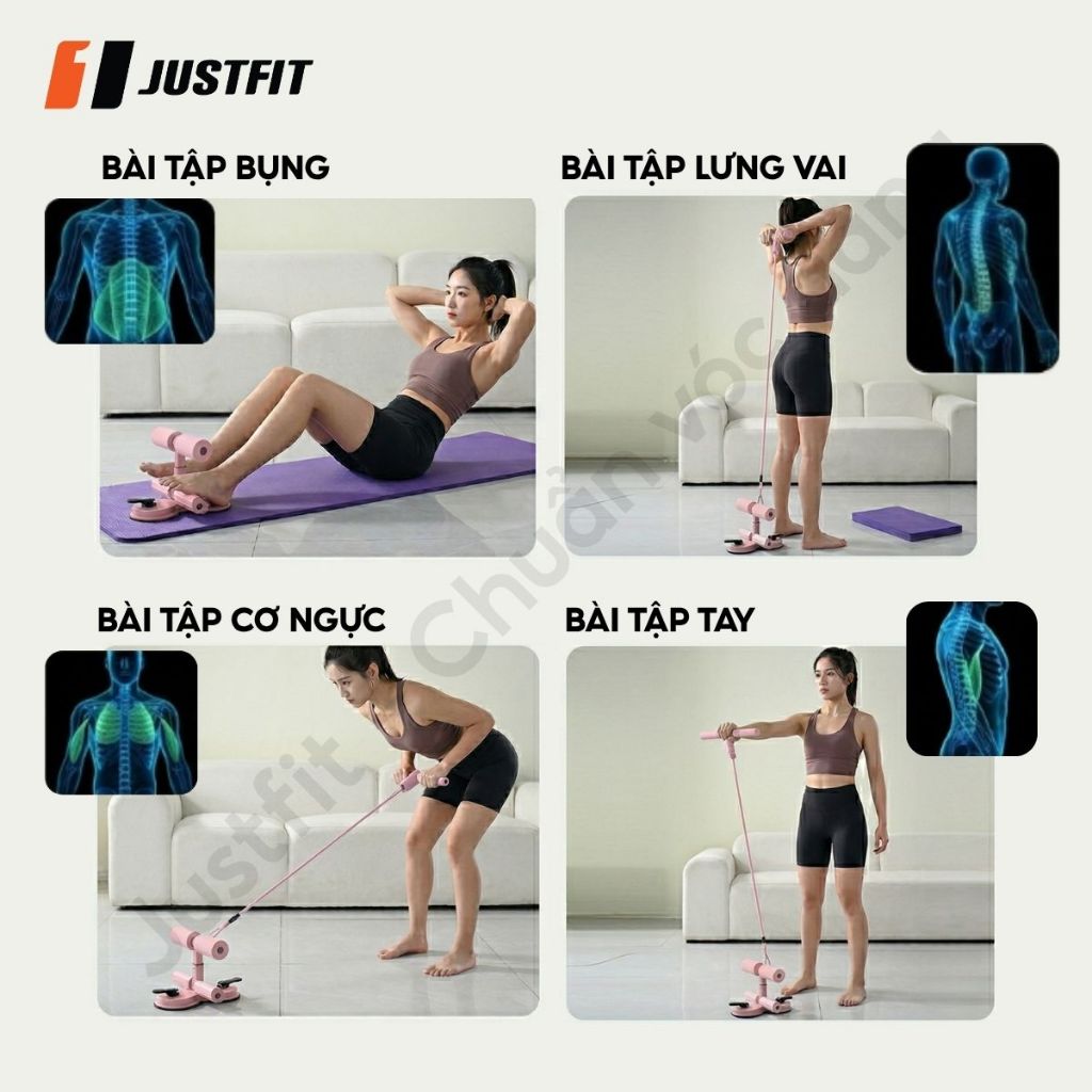 Dụng Cụ Tập Cơ Bụng Nâng Cấp Tại Nhà Đế Hút Chân Không Trụ Chữ T Kèm Dây Kéo Đàn Hồi 4 Ống JUSTFIT