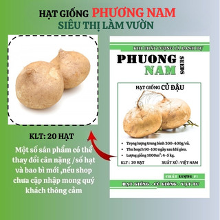 20 Hạt - Hạt Giống Củ Đậu(Củ Sắn) Phương Nam