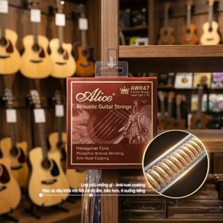 Dây Đàn Guitar Acoustic Alice AWR47 - lựa chọn ổn định trong phân khúc tầm trung