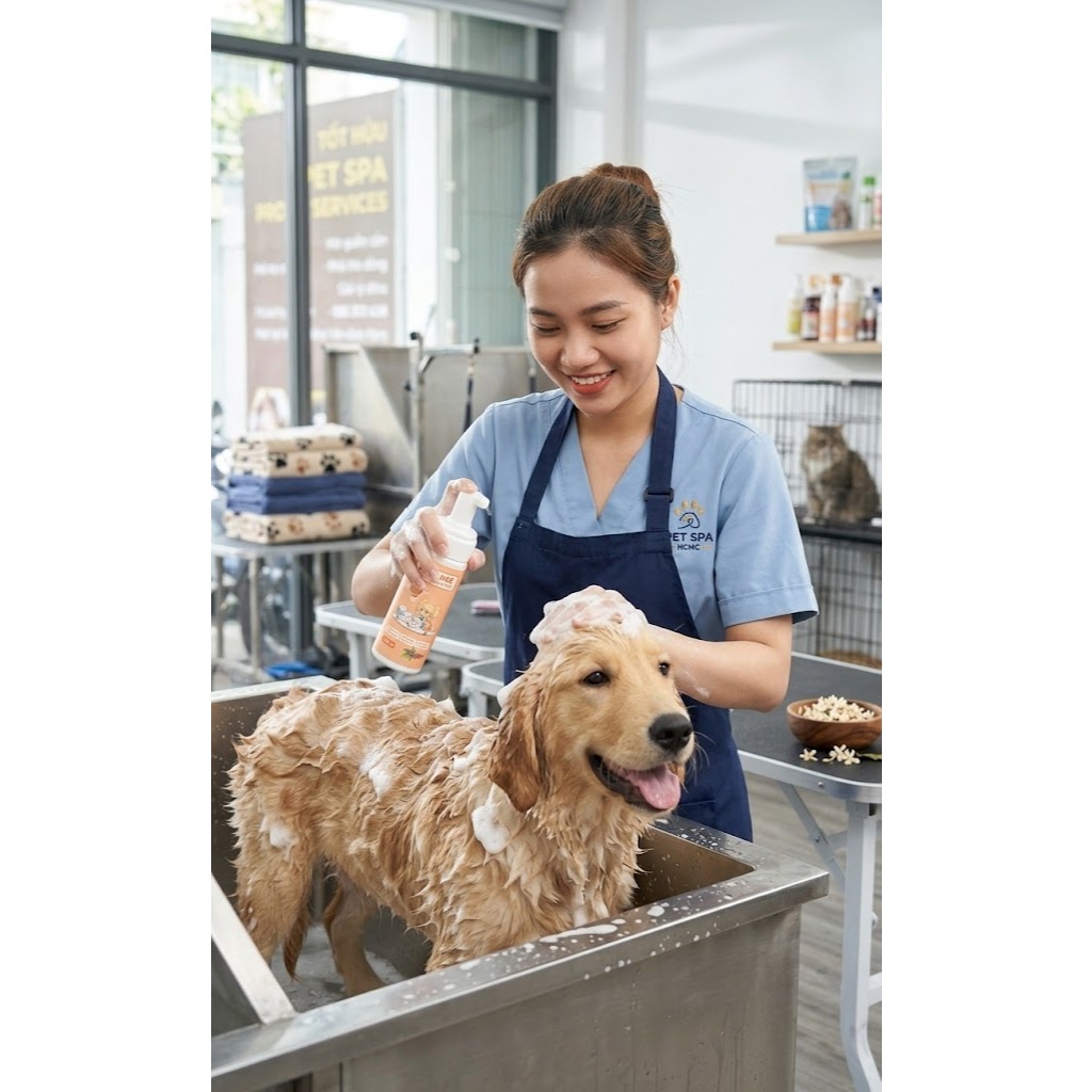 Sữa Tắm Khô Thú Cưng Allcare Armor Foam Pet 150ml – Làm Sạch Nhanh, Khử Mùi, Không Cần Nước, Nano Silver Diệt Khuẩn
