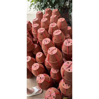 (Tặng móc sắt) - COMBO 3-5 Chậu đất nung có 4 size + Tặng kèm móc treo, trồng hoa Lan, cây phong Lan, cây cảnh loại 1